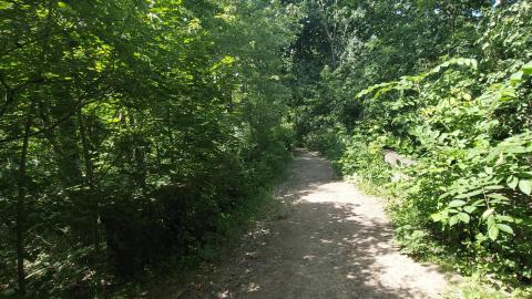 Photo from July 7th 2022