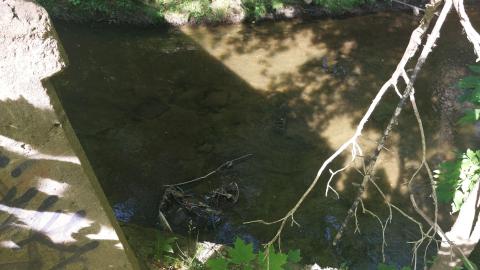 Photo from July 7th 2022