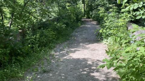 Brige - 0298AF49-2FA4-419C-B5B8-A2C80FC2770A.jpeg