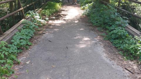 Old bridge over the river photo 5