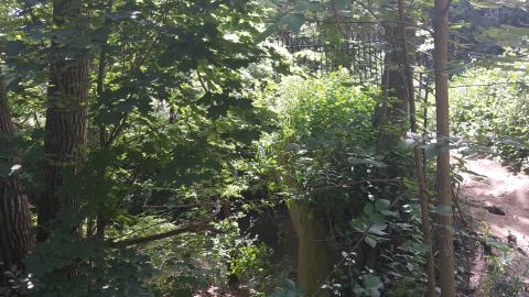 Old bridge over the river - Toronto, Ontario