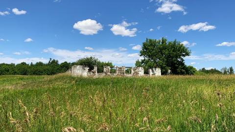 Cobble and Rust - IMG_5098.JPG