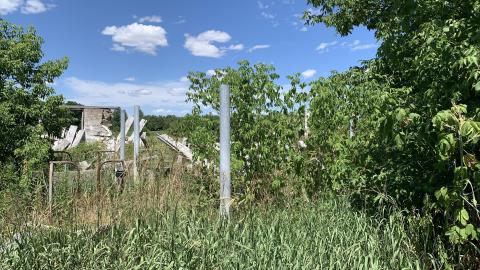 Cobble and Rust - IMG_5103.JPG