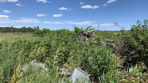 Cobble and Rust - IMG_5110.JPG