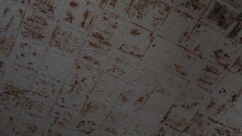 October 2021 - 20211010_160327.jpg