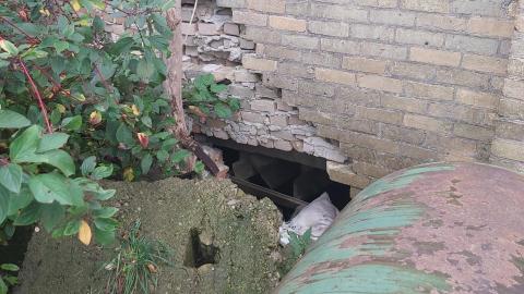 October 2021 - 20211010_155853.jpg