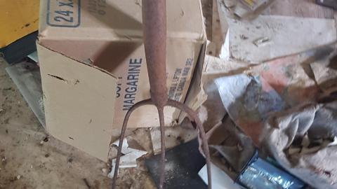 Eager-lee Anticipated - 20220709_165705.jpg