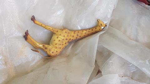 Eager-lee Anticipated - 20220709_165810.jpg