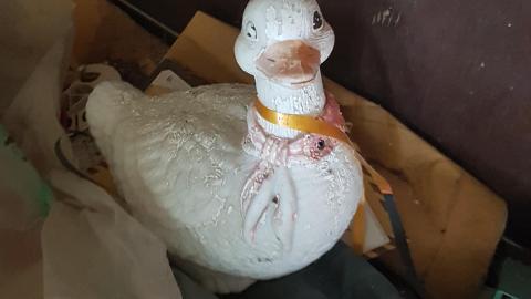 Eager-lee Anticipated - 20220709_171149.jpg