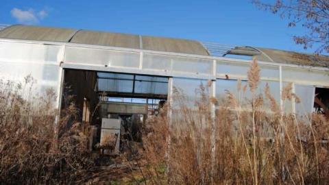 Dec '11 - European-Wicker-Imports82.jpg