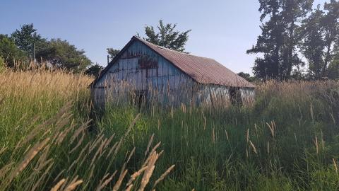 Eager-lee Anticipated - two.jpg