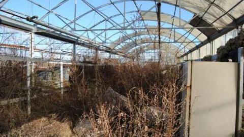 Dec '11 - European-Wicker-Imports90.jpg