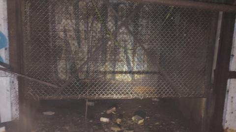 Pigeon Shit Everywhere - 20210629_030757.jpg