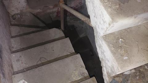 Pigeon Shit Everywhere - 20210629_035253.jpg