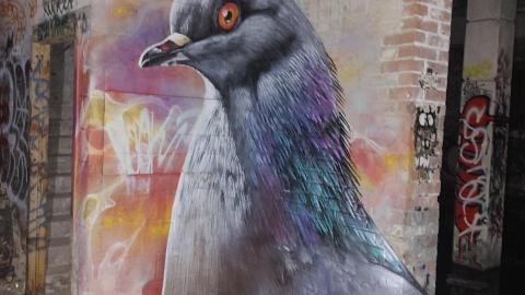 Pigeon Shit Everywhere - 20210629_040238.jpg