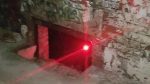 Pigeon Shit Everywhere - IMG-20210702-WA0014.jpg