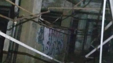 Pigeon Shit Everywhere - IMG-20210702-WA0019.jpg