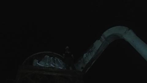 Pigeon Shit Everywhere - IMG-20210808-WA0000.jpg