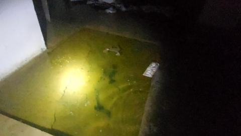 Extractor Fans R US - 20210531_052033_HDR.jpg