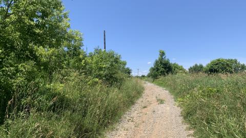 Nothing Of Importance July 2022 - IMG_5164.JPG