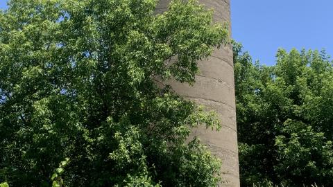 Nothing Of Importance July 2022 - IMG_5168.JPG