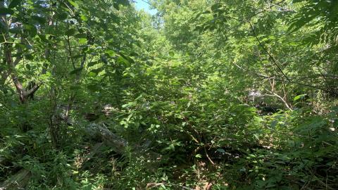 Nothing Of Importance - Hamilton, Ontario