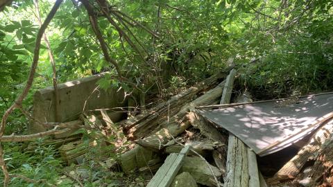 Nothing Of Importance July 2022 - IMG_5178.JPG