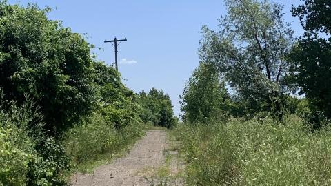 Nothing Of Importance July 2022 - IMG_5180.JPG