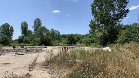 Nothing Of Importance July 2022 - IMG_5184.JPG