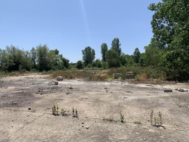 Nothing Of Importance photo 5