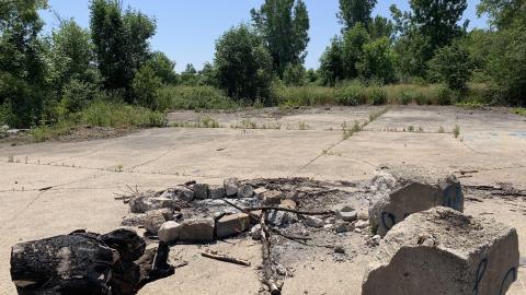 Nothing Of Importance July 2022 - IMG_5190.JPG