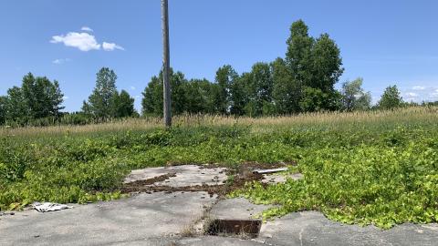 Nothing Of Importance July 2022 - IMG_5192.JPG