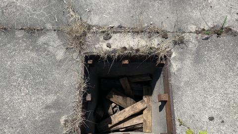 Nothing Of Importance July 2022 - IMG_5193.JPG