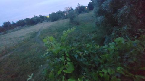 It's not the fall that'll kill ya.....oh wait - 20210708_052352.jpg