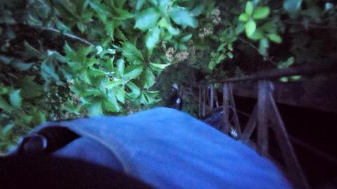 It's not the fall that'll kill ya.....oh wait - 20210708_052408.jpg