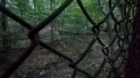 It's not the fall that'll kill ya.....oh wait - 20210708_055622_HDR.jpg