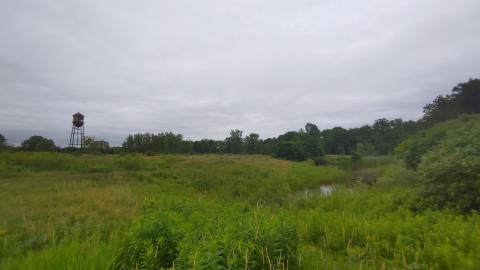 It's not the fall that'll kill ya.....oh wait - 20210708_063402_HDR.jpg