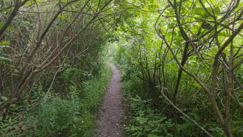 It's not the fall that'll kill ya.....oh wait - 20210708_063522_HDR.jpg