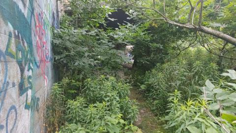 It's not the fall that'll kill ya.....oh wait - 20210708_064214_HDR.jpg