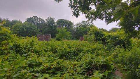 Photo from It's not the fall that'll kill ya.....oh wait