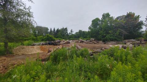 Photo from It's not the fall that'll kill ya.....oh wait