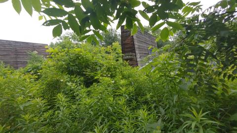 It's not the fall that'll kill ya.....oh wait - 20210708_072419_HDR.jpg