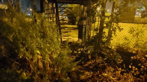 Dig Deep - 20210829_022640.jpg