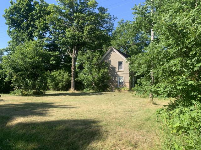 Thorns, Mold, Spiders! photo 2