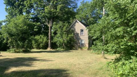 Photo from Thorns, Mold, Spiders! July 2022