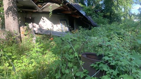 Thorns, Mold, Spiders! July 2022 - IMG_5206.JPG