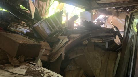 Thorns, Mold, Spiders! July 2022 - IMG_5207.JPG