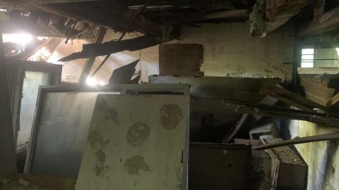 Thorns, Mold, Spiders! July 2022 - IMG_5209.JPG