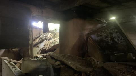 Thorns, Mold, Spiders! July 2022 - IMG_5213.JPG