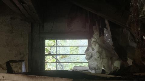 Thorns, Mold, Spiders! July 2022 - IMG_5214.JPG